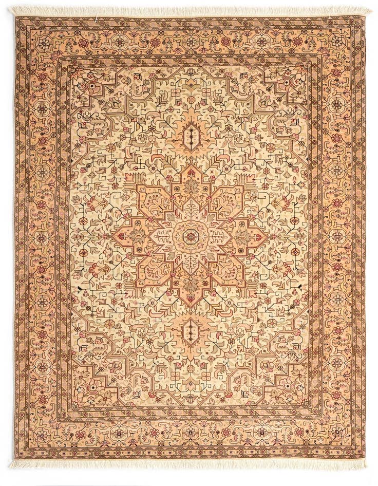 Detail image of 4' 11 x 6' 9 Tabriz Rug