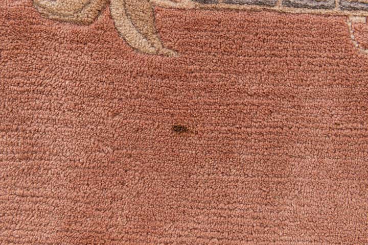 6' 9 x 8' 1 Hand Knotted Tibet Wool Rug