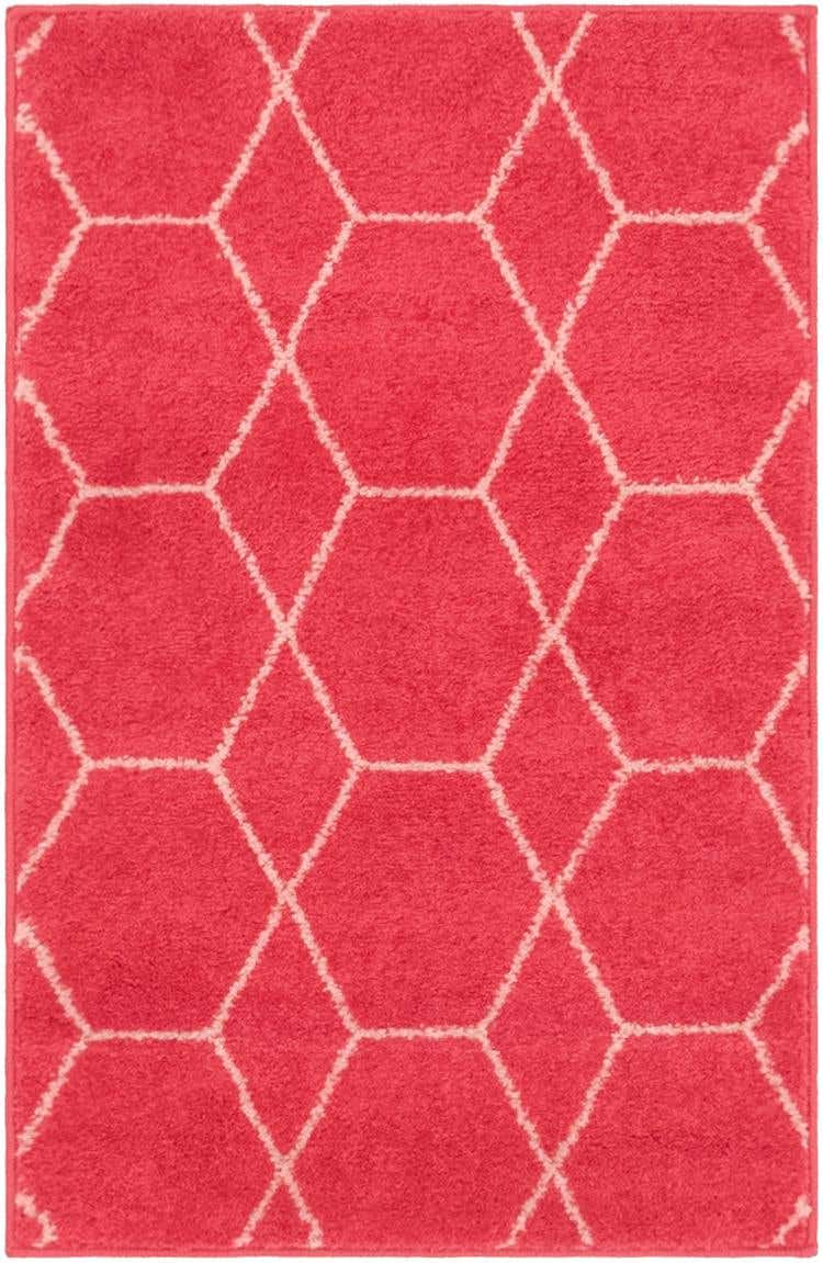 2' x 3' Trellis Frieze Rug