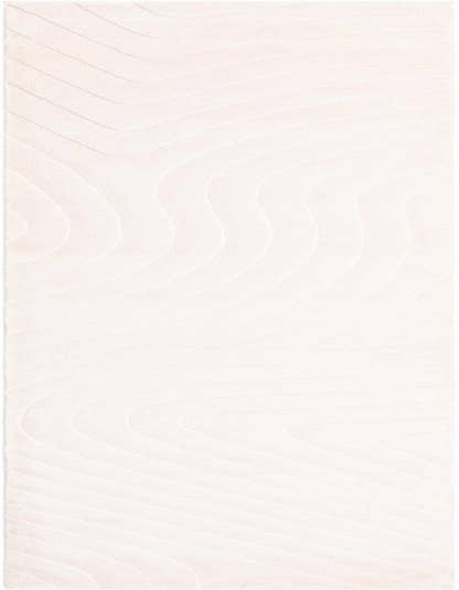 Detail image of 2' 7 x 12' 10 Darya Runner Rug