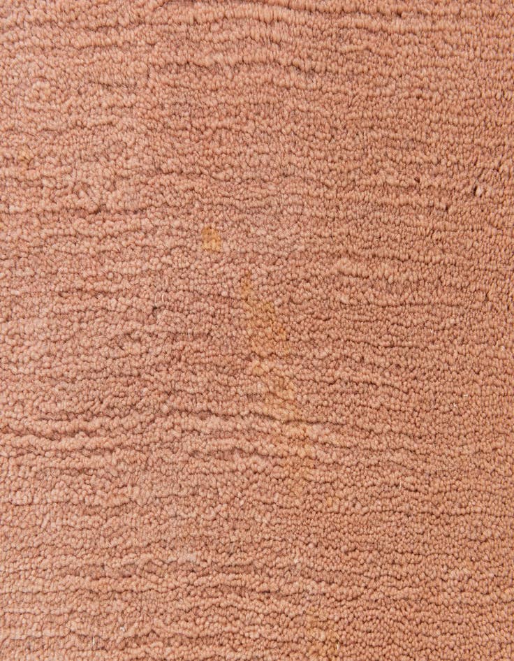 Detail image of 2' 11 x 10' 9  Hand Knotted Tibet Wool Runner Rug