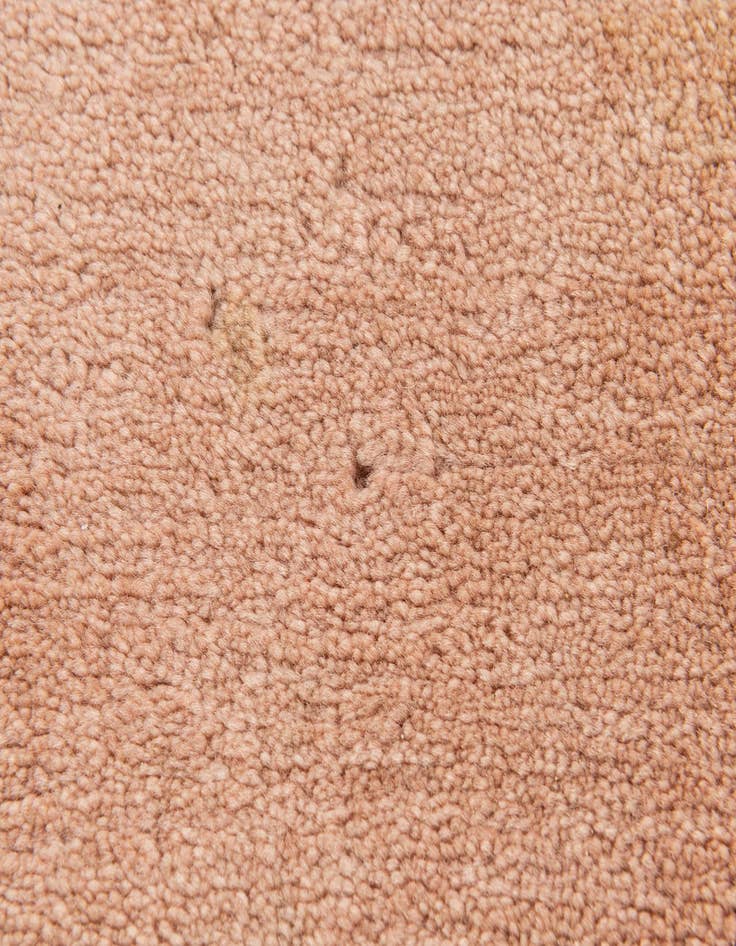 Detail image of 2' 11 x 10' 9  Hand Knotted Tibet Wool Runner Rug