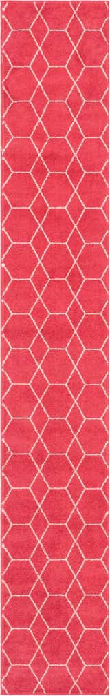 2' x 13' Trellis Frieze Runner Rug
