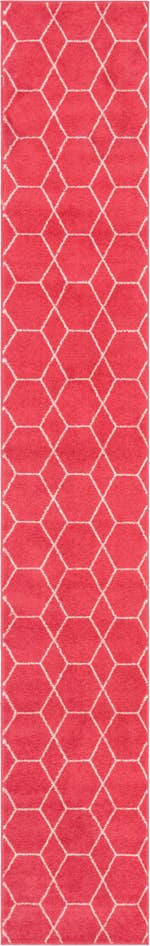 Detail image of 2' x 13' Trellis Frieze Runner Rug