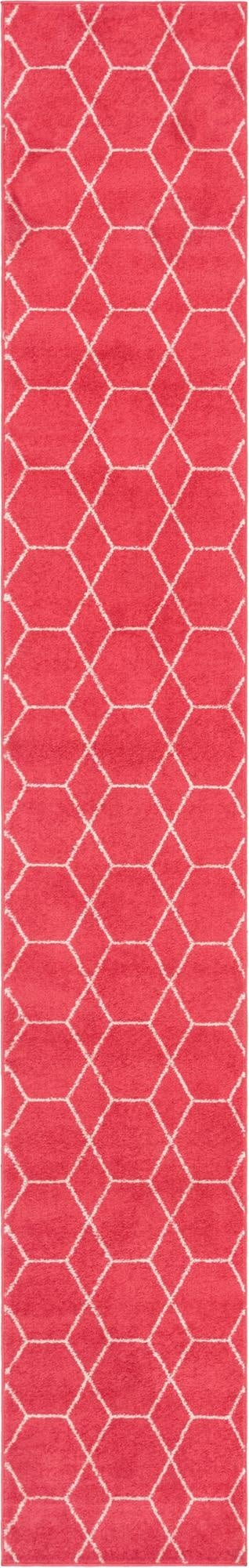 Primary image 2' x 13' Trellis Frieze Runner Rug
