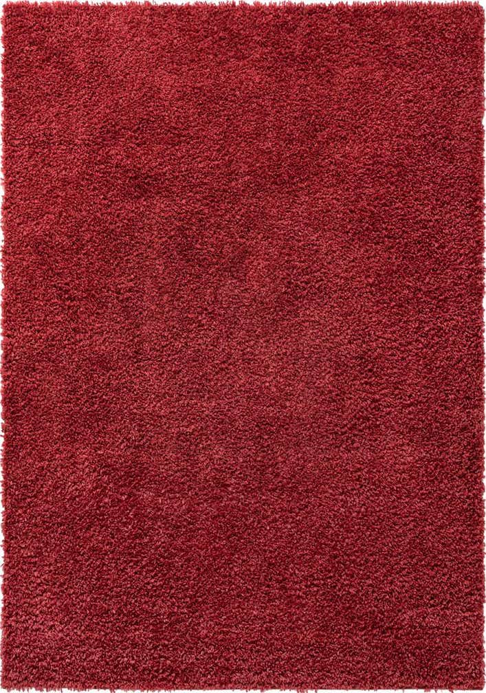 2' x 3' Zermatt Shag Rug