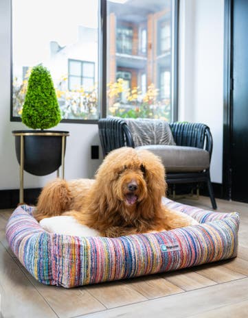 2' 9 x 3' 3 Premium Pet Bed