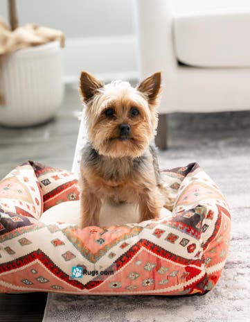 2' x 2' 4 Premium Pet Bed