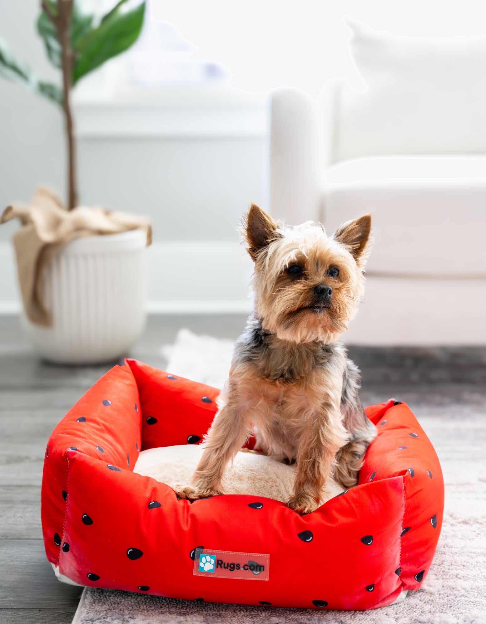 1' 4 x 1' 8 Premium Pet Bed