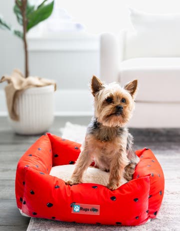 Premium Pet Bed