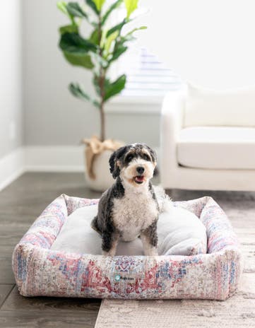 Premium Pet Bed
