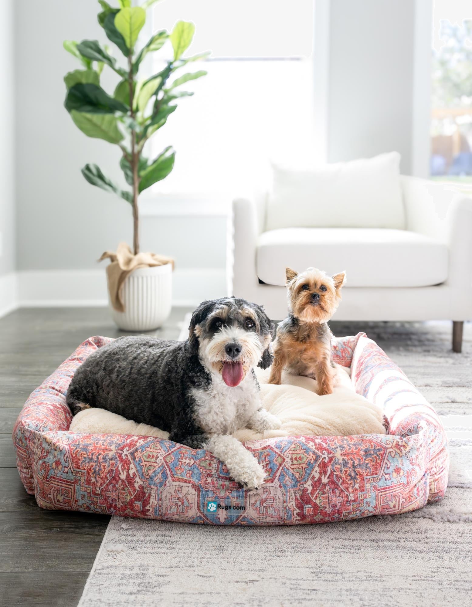 2' 9 x 3' 3 Premium Pet Bed
