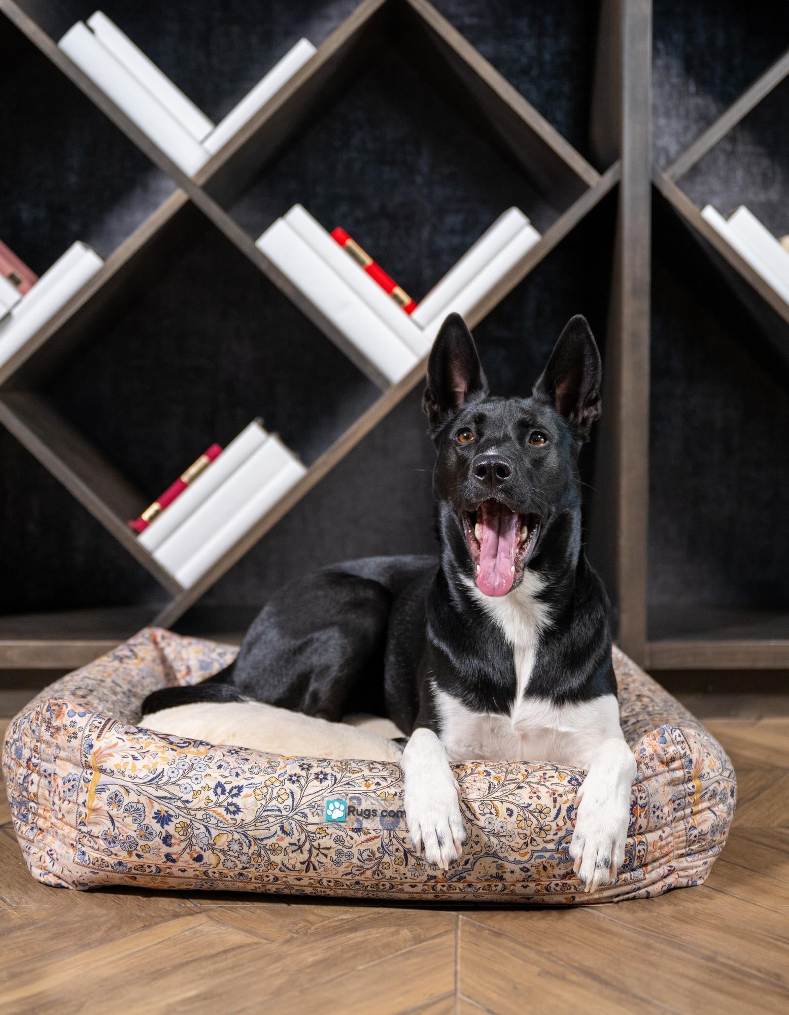 2' x 2' 4 Premium Pet Bed