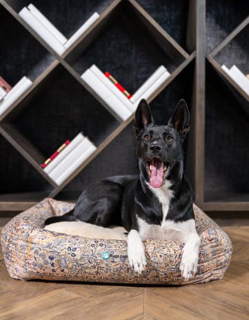Premium Pet Bed