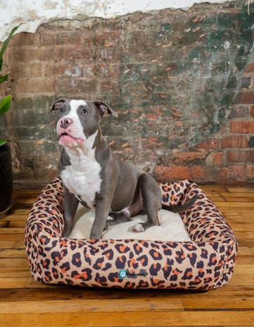 2' x 2' 4 Premium Pet Bed
