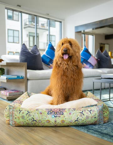 Premium Pet Bed