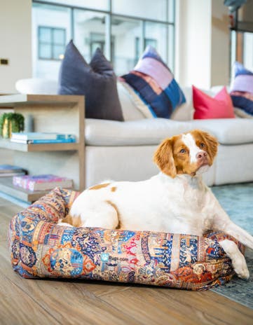 Premium Pet Bed
