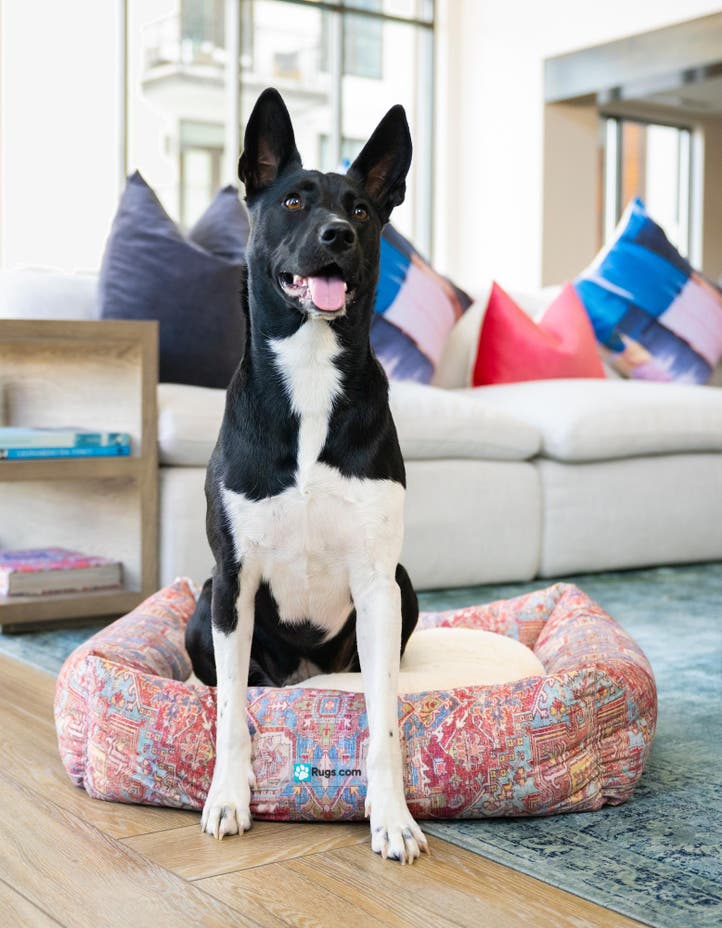 2' x 2' 4 Premium Pet Bed