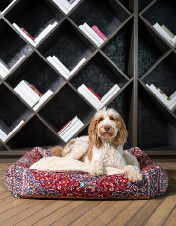 Premium Pet Bed