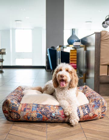 2' 9 x 3' 3 Premium Pet Bed
