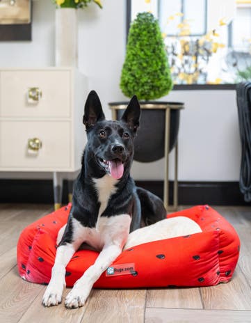 Premium Pet Bed