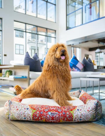 Premium Pet Bed