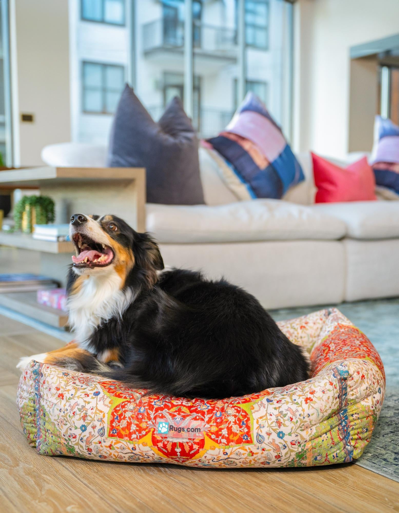 2' x 2' 4 Premium Pet Bed