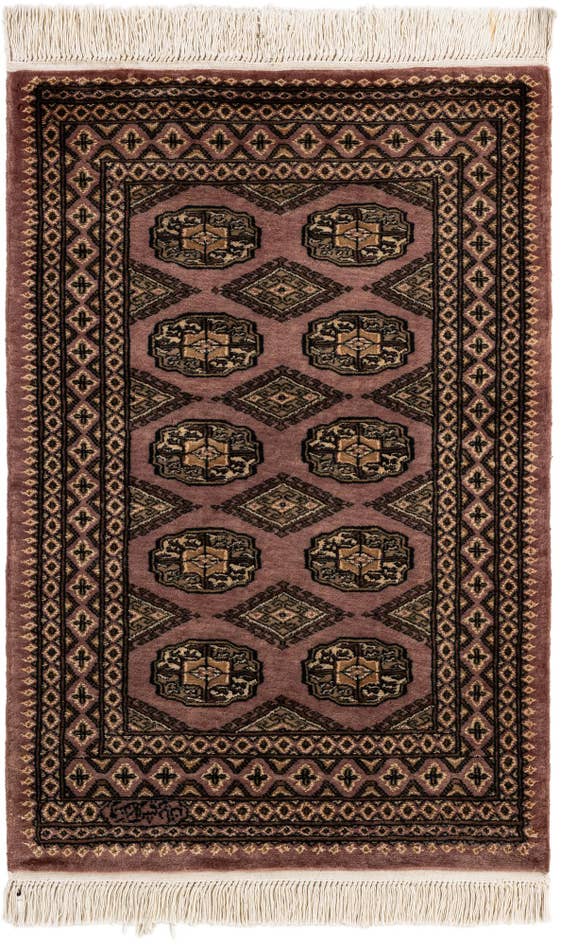 Detail image of 2' 7 x 3' 10 Hand Knotted Bokhara Oriental Rug