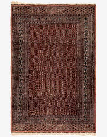 4' 1 x 6' 3 Hand Knotted Bokhara Oriental Wool Rug