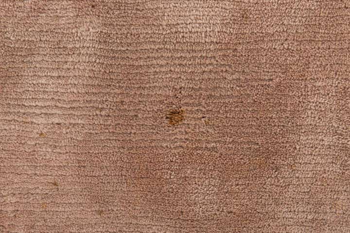 9' 10 x 13' 1 Hand Knotted Tibet Wool Rug
