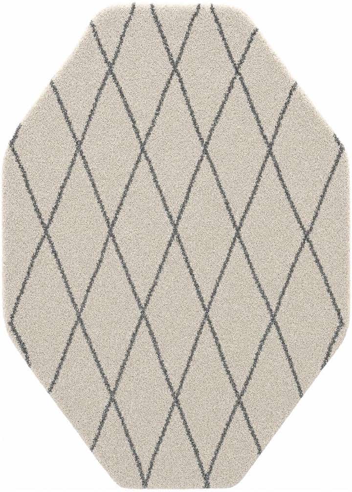 5' 3 x 5' 3 Marrakesh Shag Octagon Rug