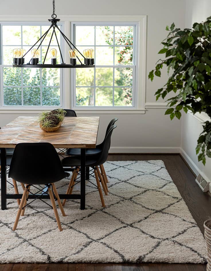 Detail image of 5' x 8' Moroccan Shag Rug