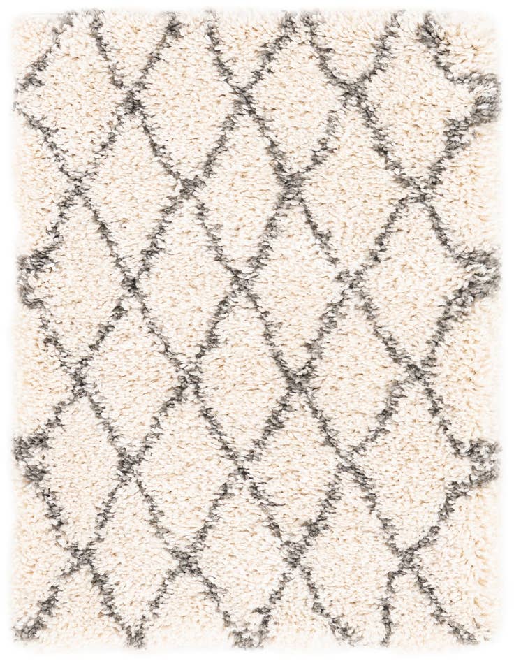 Detail image of 2' 2 x 3' Moroccan Shag Rug