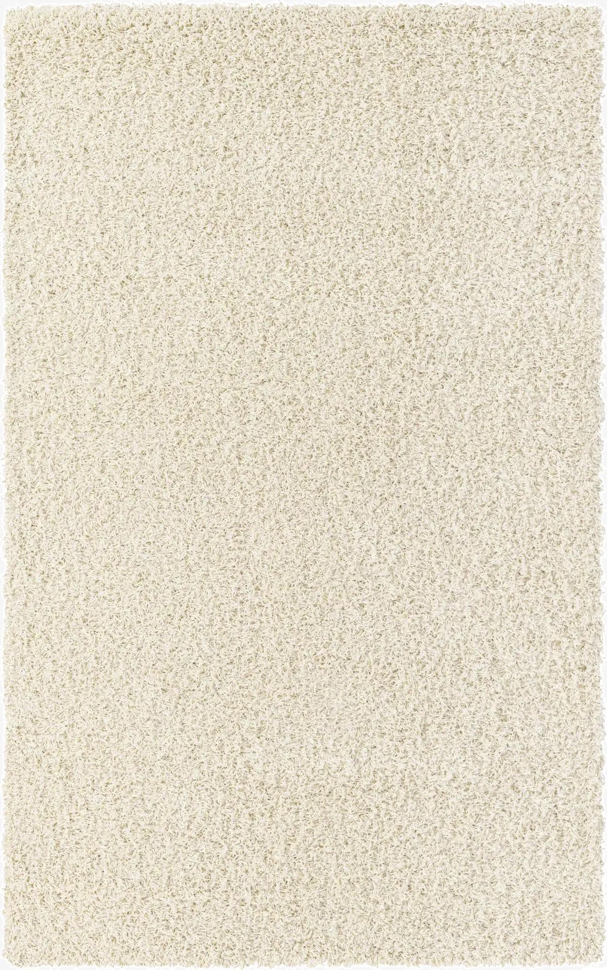 5' 3 x 8' Solid Shag Rug