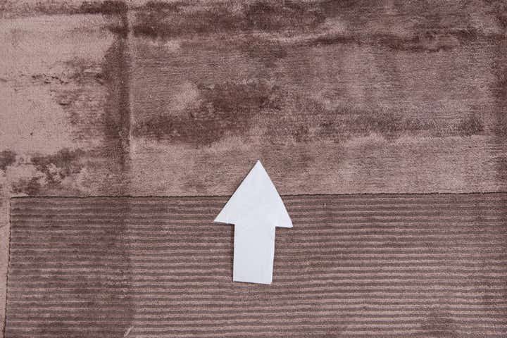 8' 3 x 11' 5 Hand Knotted Darya Wool Rug