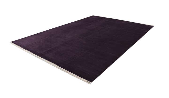 8' 3 x 11' 6 Hand Knotted Darya Wool Rug