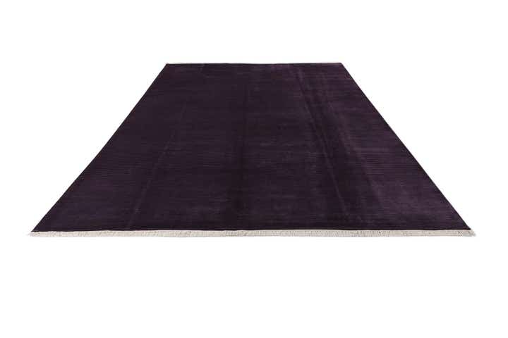 8' 3 x 11' 6 Hand Knotted Darya Wool Rug