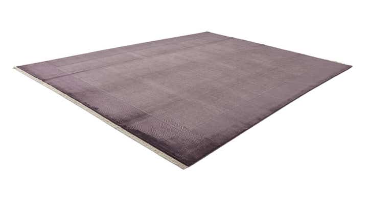 9' 10 x 13' Hand Knotted Darya Wool Rug