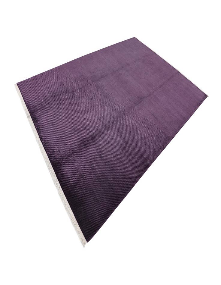 Detail image of 6' 9 x 9' 11  Hand Knotted Darya Wool Rug