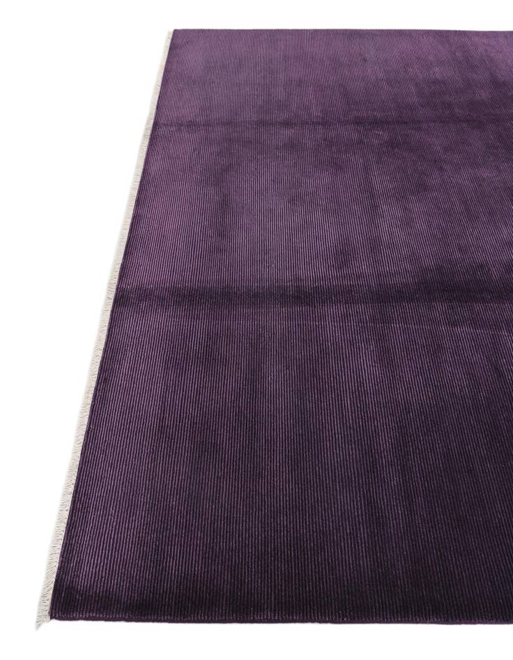 Detail image of 6' 9 x 9' 11  Hand Knotted Darya Wool Rug