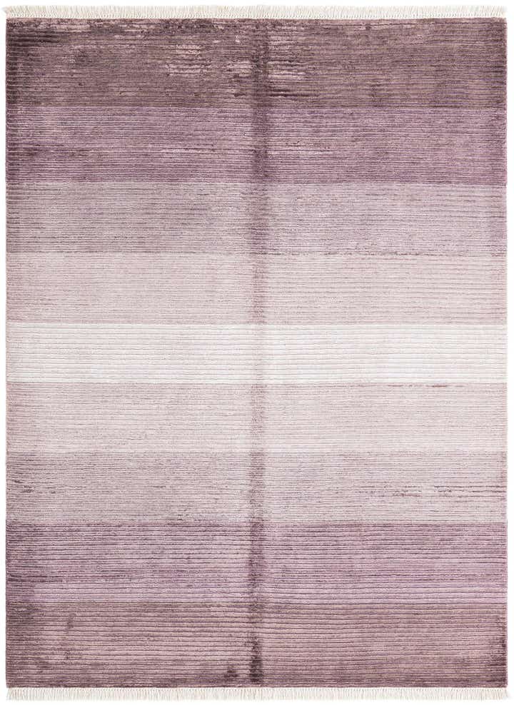 5' x 6' 4 Darya Rug