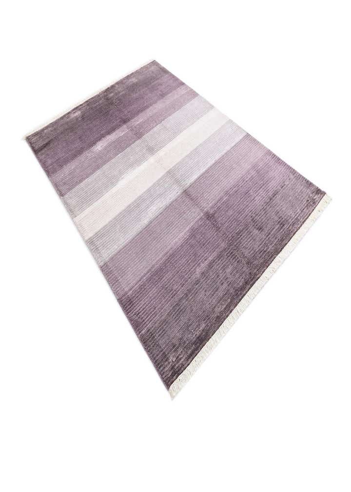 4' 10 x 6' 8 Darya Rug
