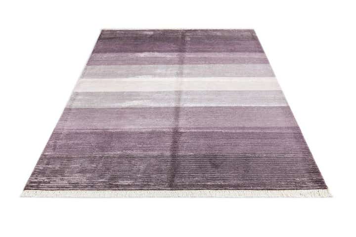 4' 10 x 6' 8 Darya Rug