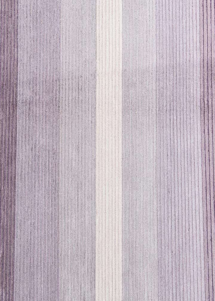 4' 11 x 6' 8 Darya Rug