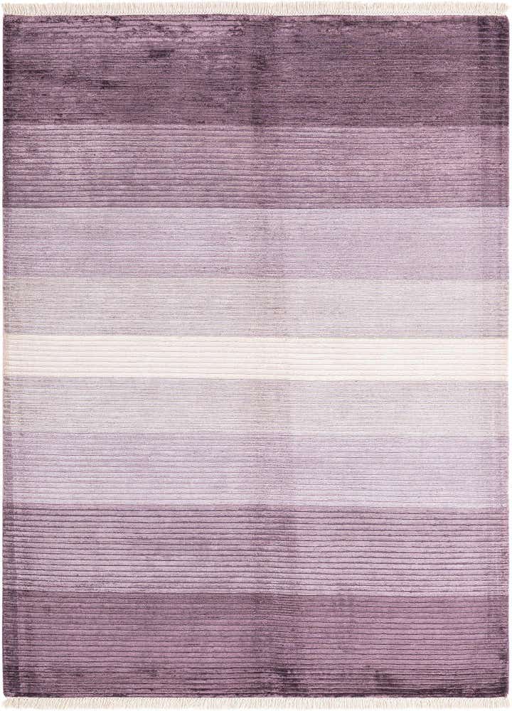 4' 11 x 6' 8 Darya Rug