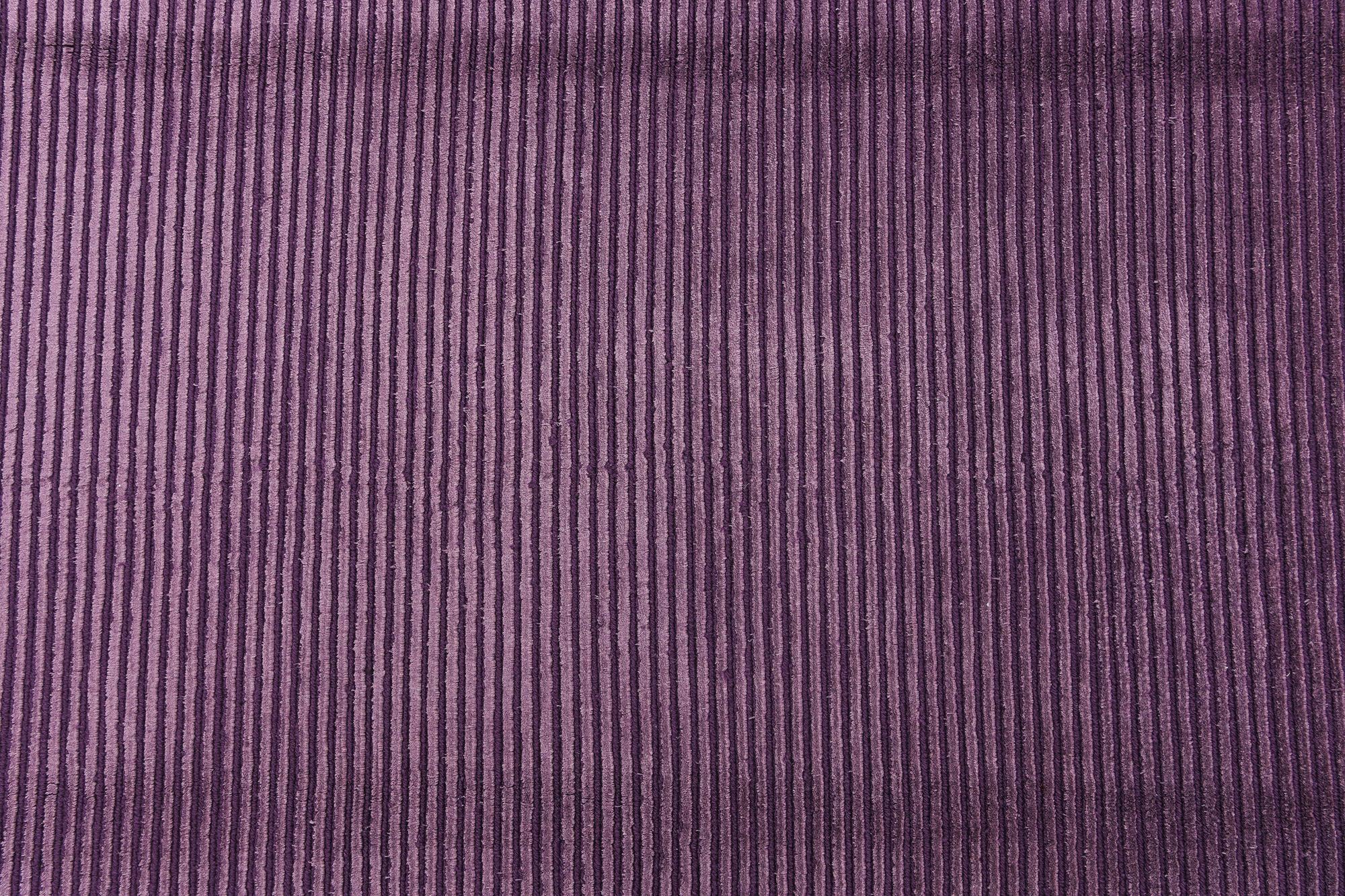 5' 7 x 8' Darya Rug