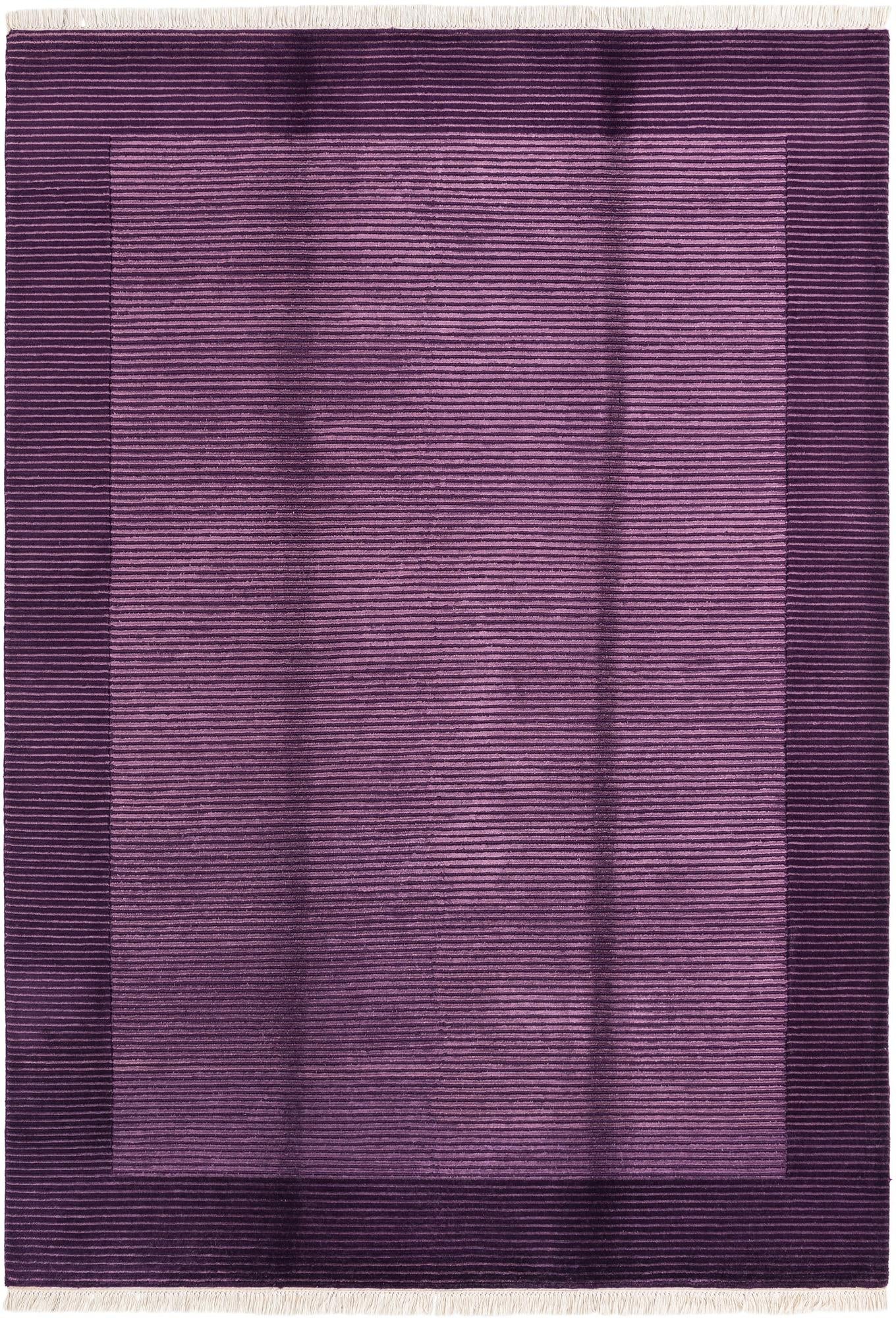 5' 7 x 8' Darya Rug