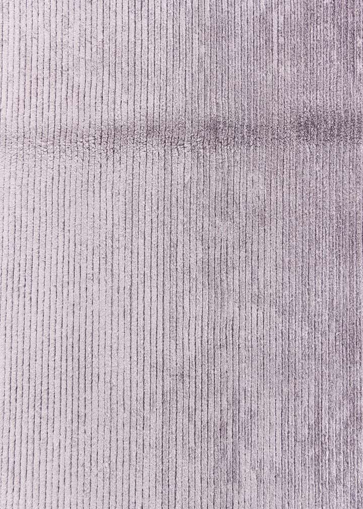 3' 10 x 6' Darya Rug