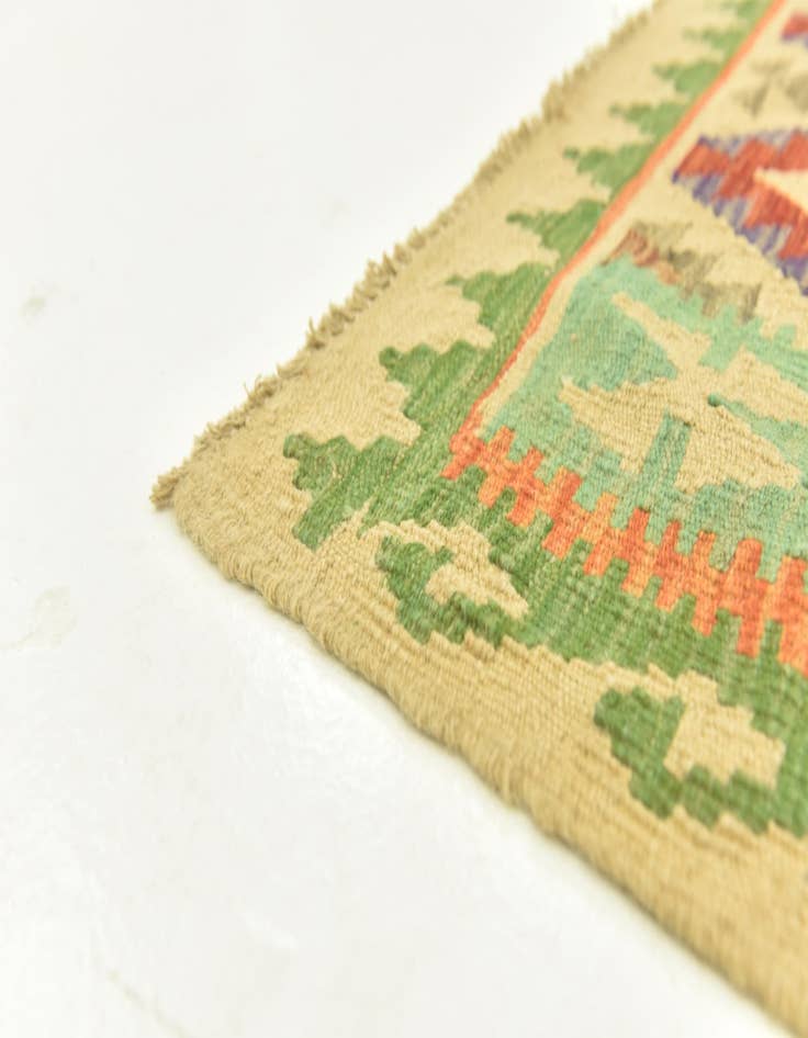 Detail image of 3' 8 x 4' 9  Hand Woven Kilim Maymana Wool Rug