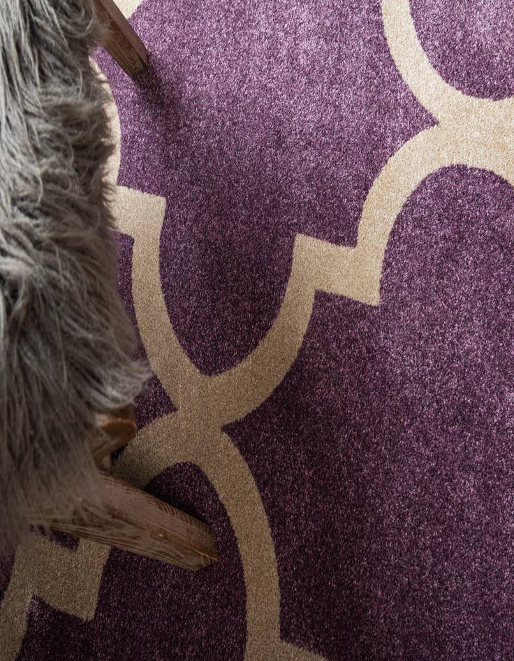 Detail image of 4' x 6' Trellis Rug